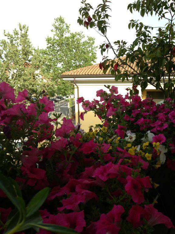 B&B Pitstop Anzola dell'Emilia Eksteriør bilde